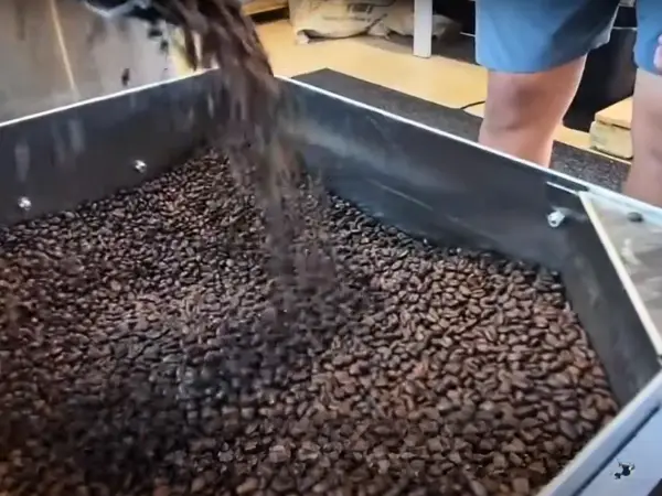 Air Roasted Coffee Process in Production 2