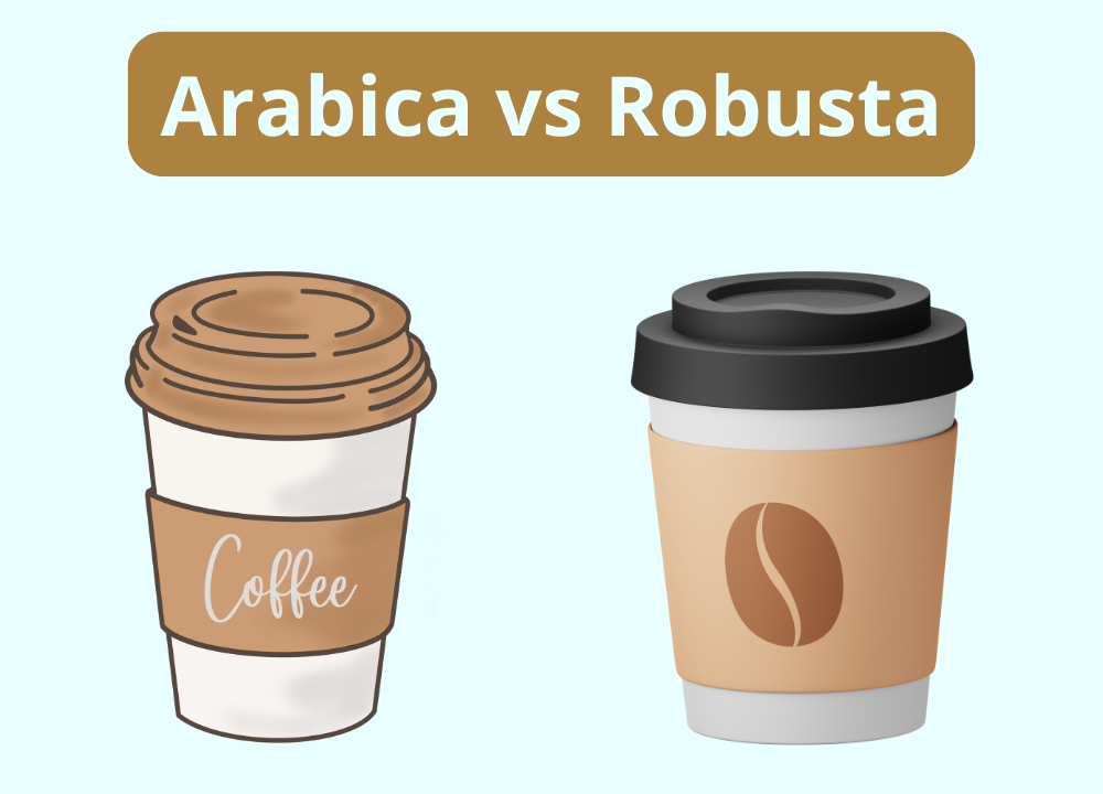 Arabica vs Robusta photo