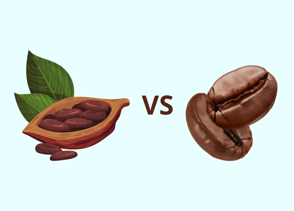 Cocoa Beans vs Coffee Beans photo