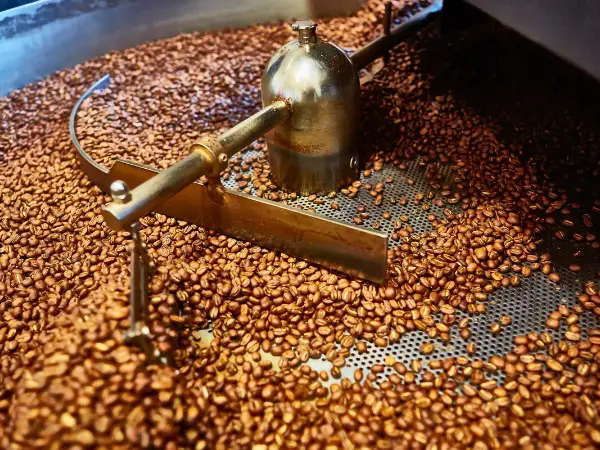 Freshly Roasted grains photo