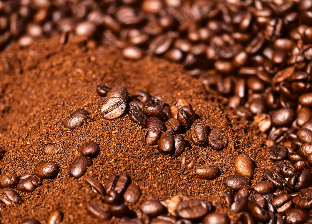 Oily Coffee Beans photo