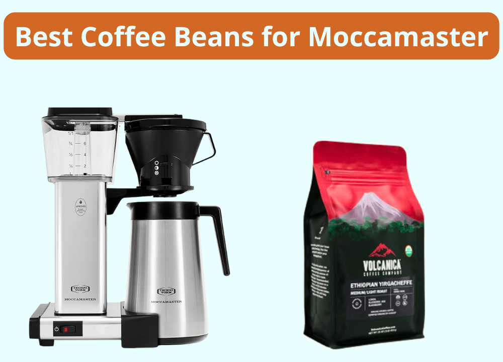 Best Coffee Beans for Moccamaster photo