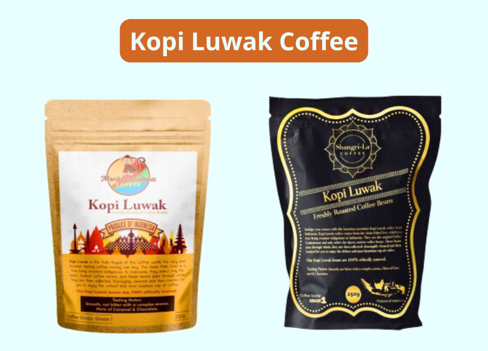 Kopi Luwak Coffee The World’s Most Exclusive Brew photo