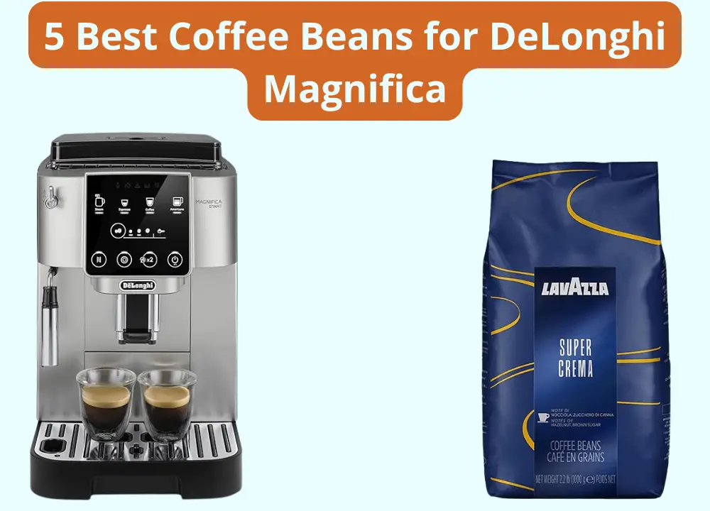 5 Best Coffee Beans for DeLonghi Magnifica photo