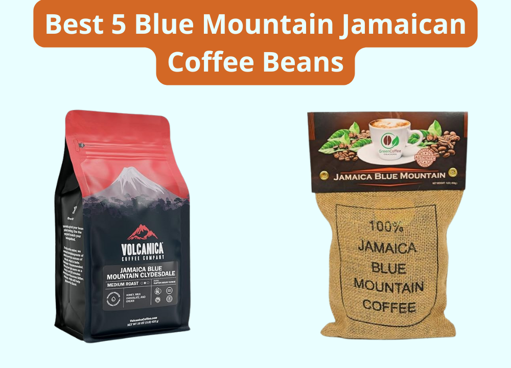 Best 5 Blue Mountain Jamaican Coffee Beans photo