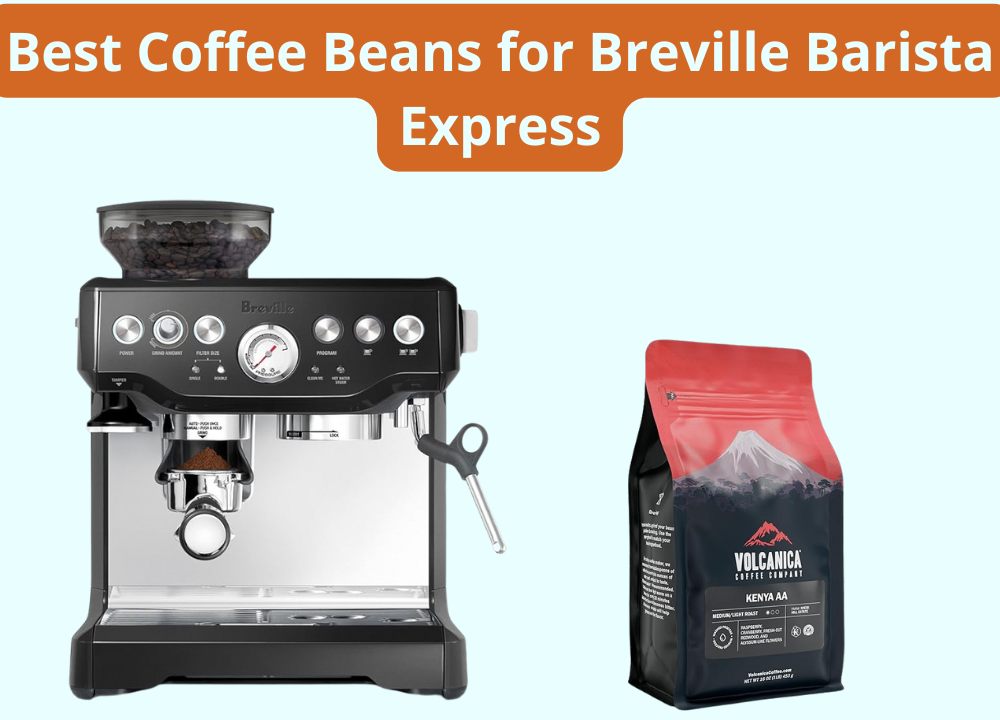 Best Coffee Beans for Breville Barista Express photo