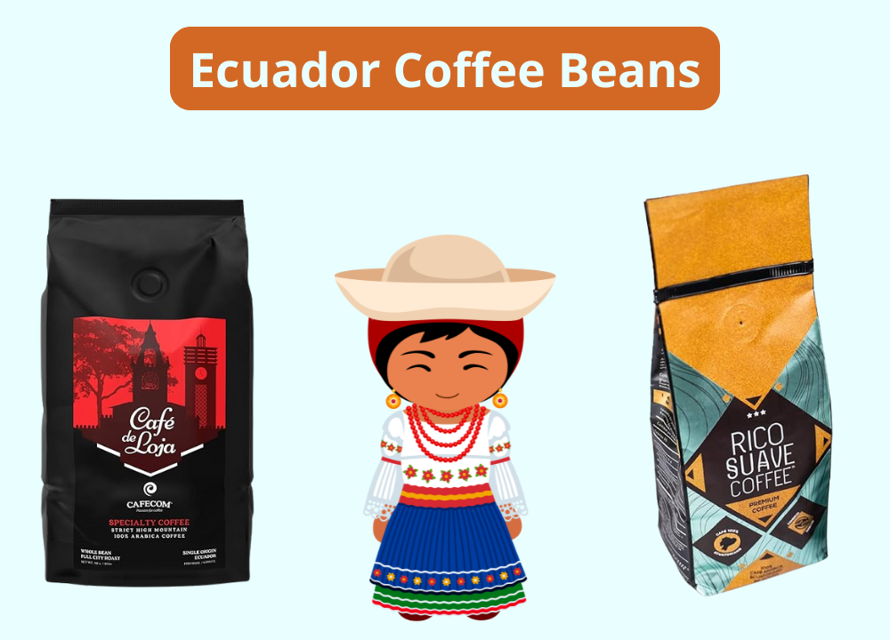 Ecuador Coffee Beans photo