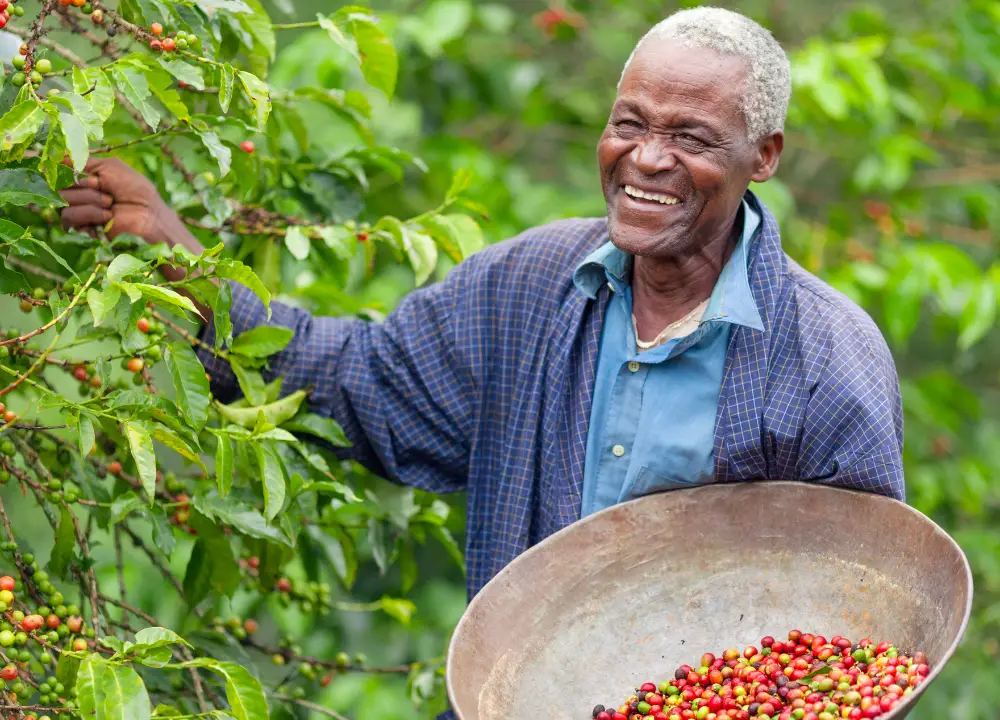 Fair Trade Coffee photo