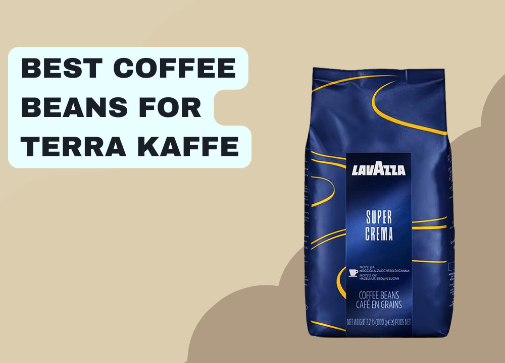 Best Coffee Beans For Terra Kaffe photo