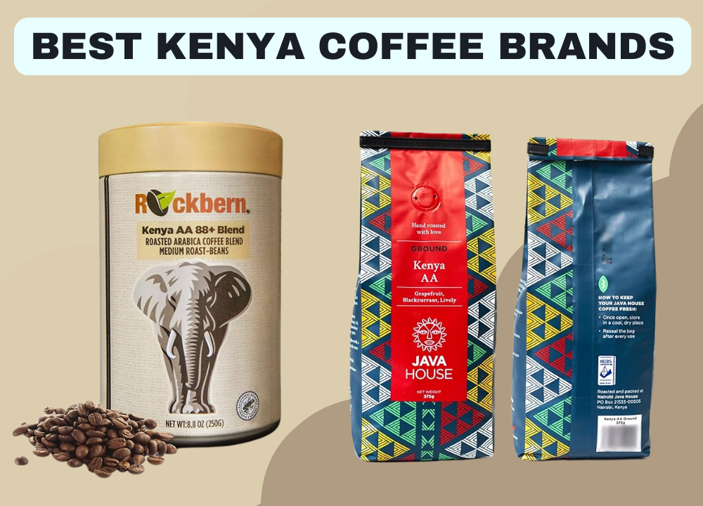 Best Kenya Coffee Brands You Need to Try A 2025 photo