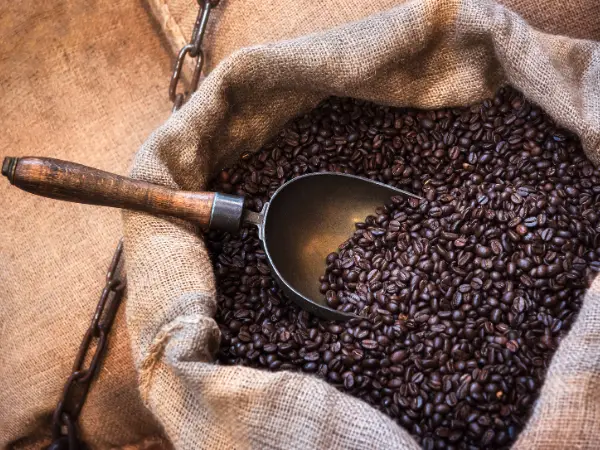 Can You Eat Coffee Beans Benefits, Risks & Best Options to Try photo 1