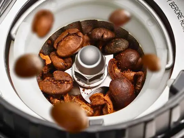 Key Features To Look For In An Anti-static Burr Grinder photo