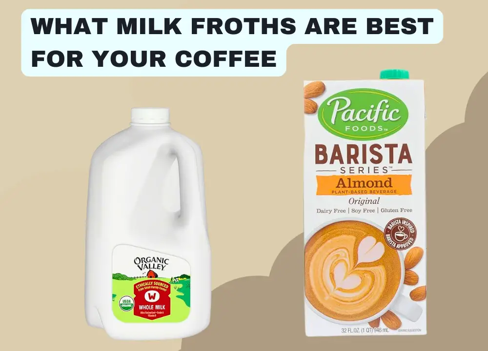 What Milk Froths Are Best for Your Coffee photo