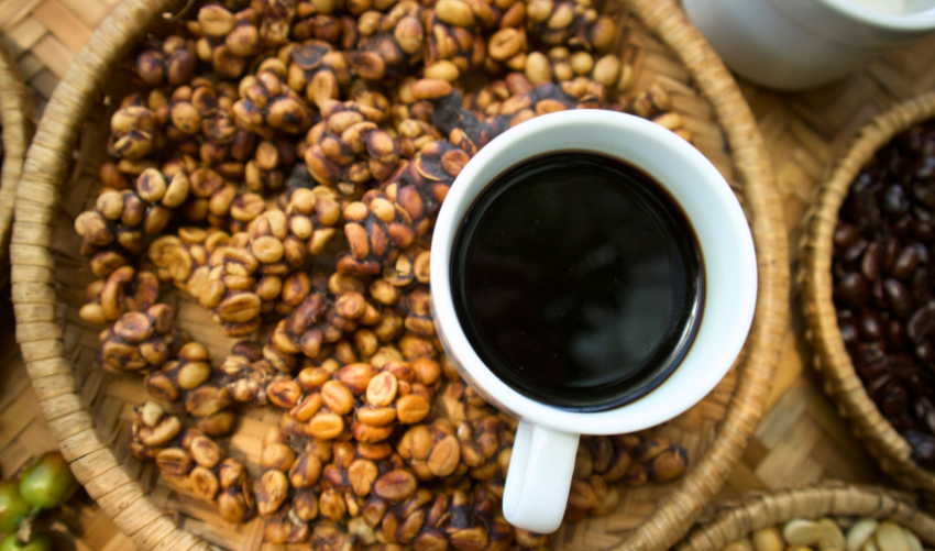 Animal That Eats Coffee Cherries photo