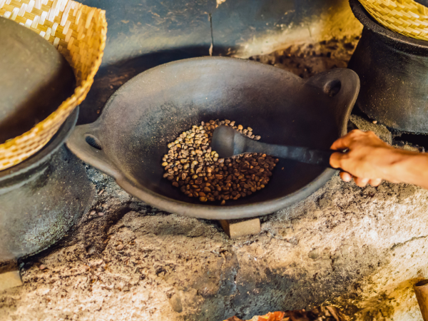 The Rise Of Kopi Luwak 1