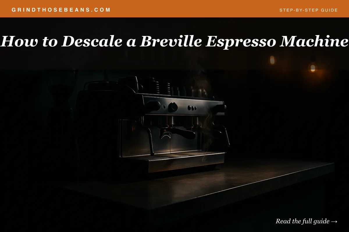 How to Descale a Breville Espresso Machine
